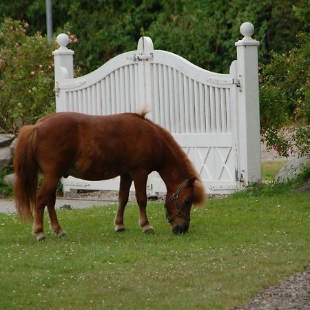 Ostseepferdehof Neukirchen  Esterno foto